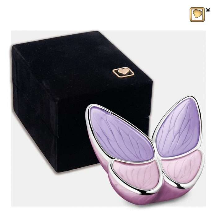 vlinder urn paars met doos
