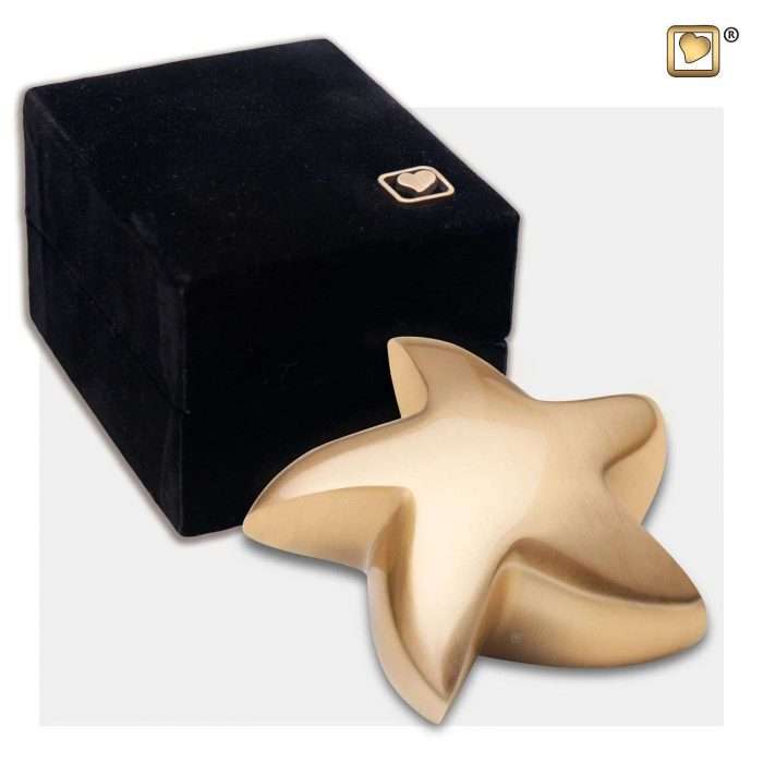 Star shaped keepsake urn